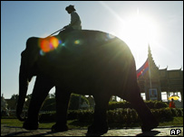 Điều quan trọng là cần phải có vệ sinh, và nguồn nước uống sạch