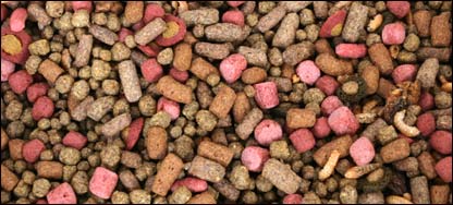 د کبانو لپاره ترکيبي خواړه