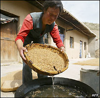 Agricultor chinês na Província de Gansu
