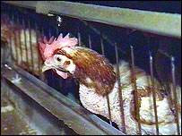 Governo havia dito anteriormente que estava livre da doença