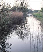 Tree surrounded river at RSPB Fowlmere.