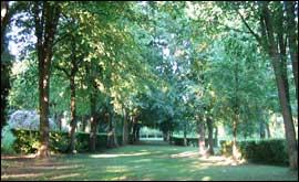 Whipsnade Tree Cathedral