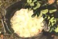 Dishgled o <i>fasticha</i>