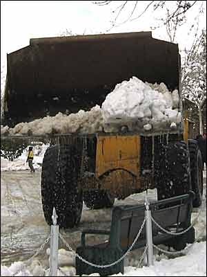 عکس از آرش الياسی 