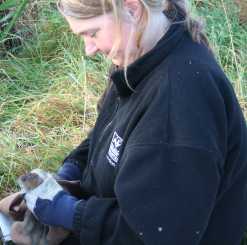 Louise Wells from London Wildlife Trust holding a Water Vole.