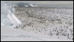 Penguins in Antarctica