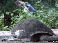 ادويته در باغ وحش کلکته در سال 2005