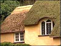 Thatched cottage