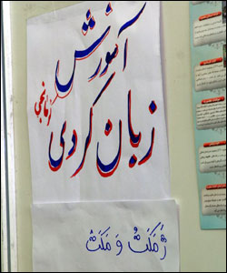 عکس از فرشاد پالیده 