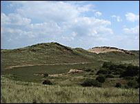 Braunton Burrows