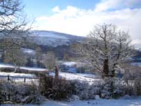 Gigrin Farm in winter (Image c/o Gigrin Farm)