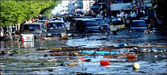 سونامی کی تباہ کاریاں