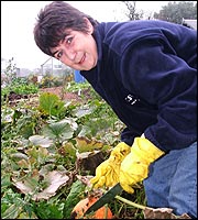 On the allotments with Shades of Black