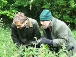 Lionel Kelleway, Trevor Beebe and Paul Harmes in search of the Great Silver Water Beetle.