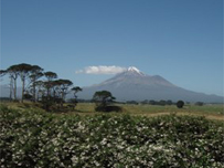 Mount Taranaki