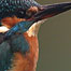 Heligan (Image: Kingfisher)