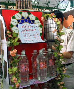 عکس از فرشاد پالیده 