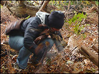 Looking for lunch...