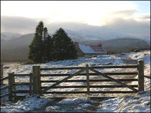 Cairngorm vista  c/o RSPB and Stewart Taylor