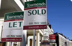 Houses for sale and let