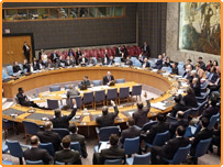 کیاسلامتی کونسل میں اصلاحات کی ضرورت ہے؟