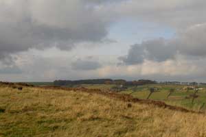 The moors near Haworth