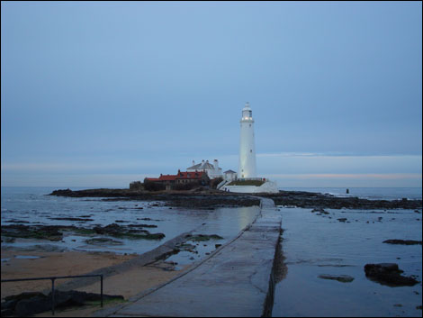 St Mary's Gallery. Photo: Sam Charlton