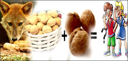 خورجين بنجاره