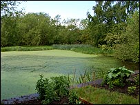 Behind Sarehole Mill
