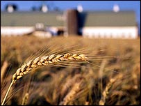 हरियाली