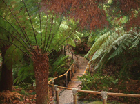 A shaded spot at Glendurgan