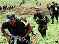Rebeldes das Farc