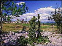 Whitbarrow c/o Paul Glendell and  Natural England