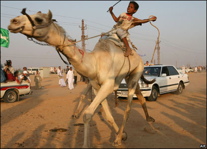 Cuộc đua lạc đà Sharqeya ở Ai Cập