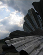 Close up of the Scallop (photo: Mark Ward)