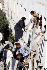 مصر کے انتخابات