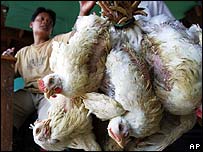 Galinhas à venda em mercado de Jacarta, na Indonésia