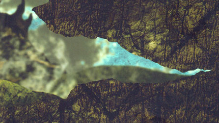 Rhan o glawr y llyfr