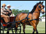 A horse and carriage at the Cambridgeshire County Show 2009