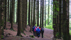 Remains of the ruined cottage