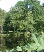 View of Coughton Court