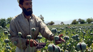 پوست کی کاشت