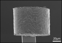 Visão microscópica de segmento de cabelo mostrando formação de escamas. Foto: Eva Max, Universidade de Bayreuth, Alemanha