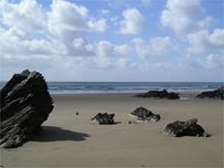 Whitsand Bay by Michael Pooley