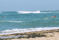 Dark Lord and Squirrel paddling back in