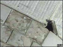 Imagens dos danos do cobertor térmico