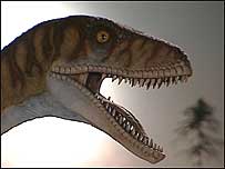Dinosaur model