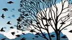 Tree with crows