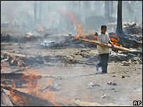 Detritos são queimados na praia de Pangandaran