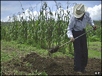 Agricultor brasileiro